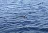 IMG-20170901-WA0014